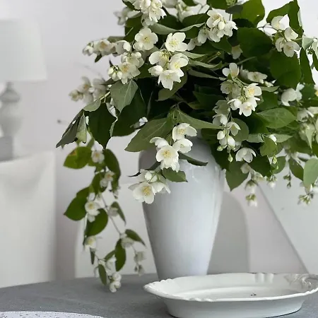 W Zaciszu Palacu * Trzcinica