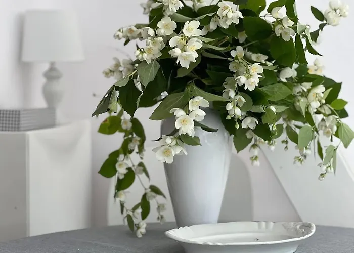 W Zaciszu Palacu * Trzcinica