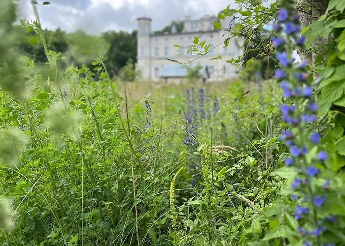 W Zaciszu Palacu Trzcinica