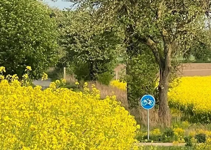 Apartment W Zaciszu Palacu Trzcinica