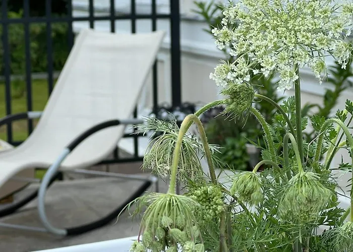 W Zaciszu Palacu Apartment *